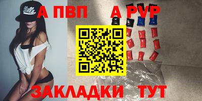 индика Кингисепп
