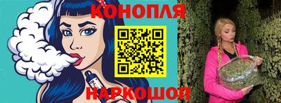 индика Кингисепп