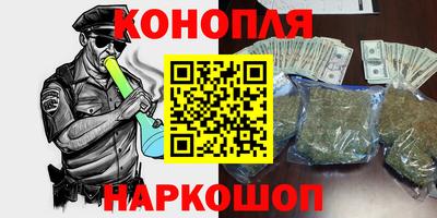 индика Кингисепп