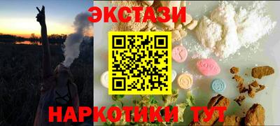 индика Кингисепп
