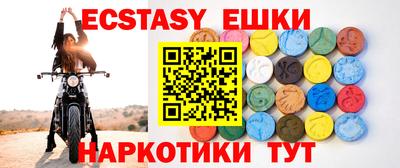 индика Кингисепп