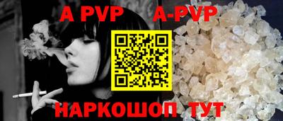 индика Кингисепп