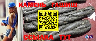 индика Кингисепп