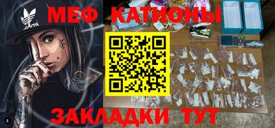 индика Кингисепп