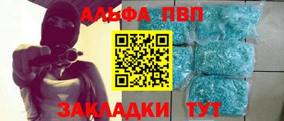 индика Кингисепп