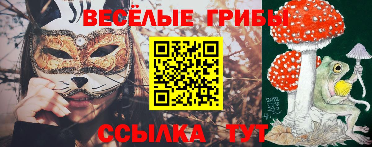 Коряжма  Галлюциногенные грибы мухоморы  Вход с VPN 