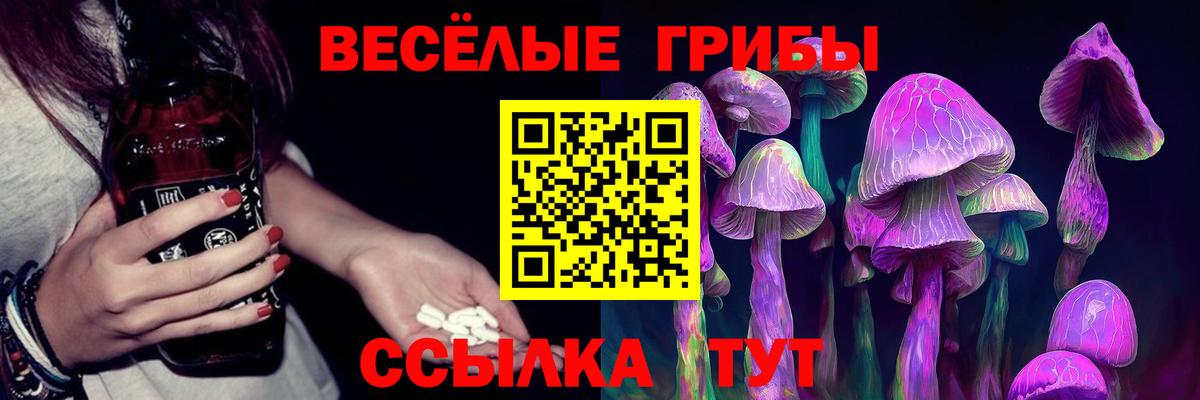 Псилоцибиновые грибы Cubensis Коряжма